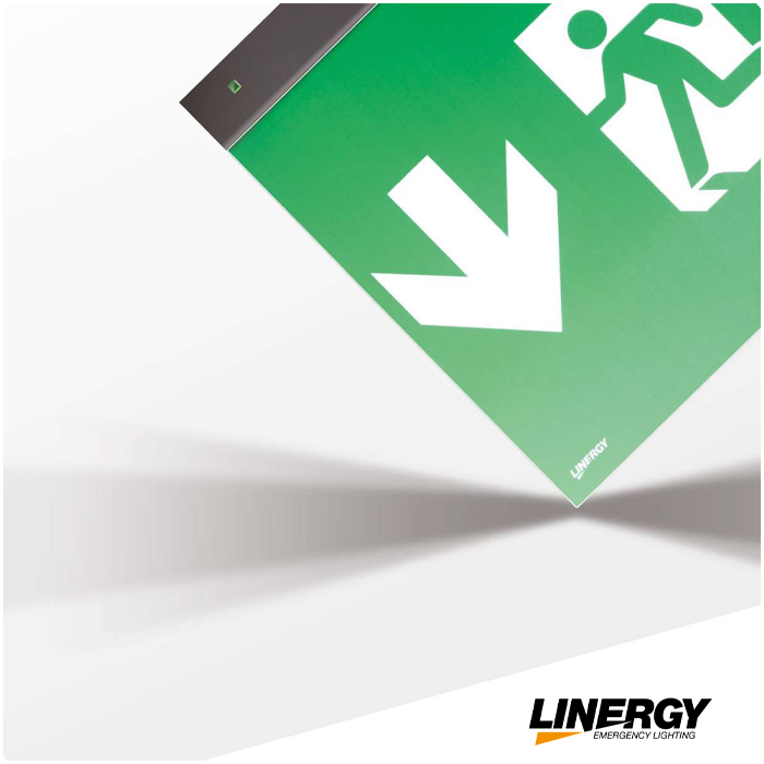 LINERGY - Catálogo Rápido